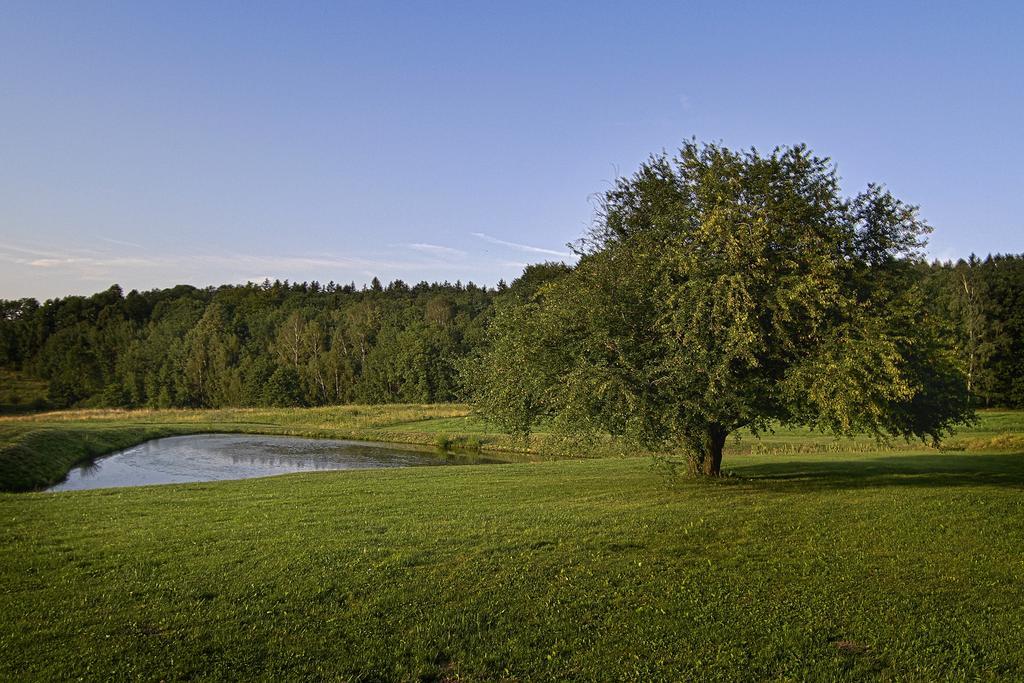 Gosciniec Nowa Wioska Panzió Wałbrzych Kültér fotó